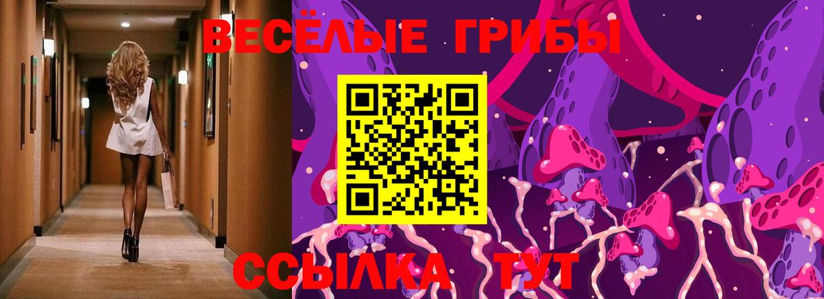 Галлюциногенные грибы Psilocybe Ростов-на-Дону